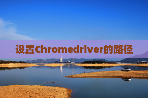 设置Chromedriver的路径